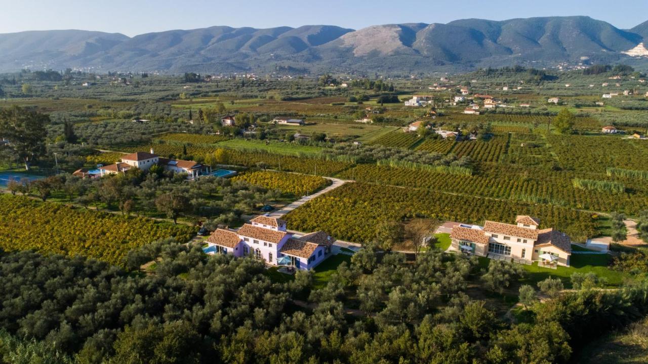 Villa Aneli Luxury - Alexandra *